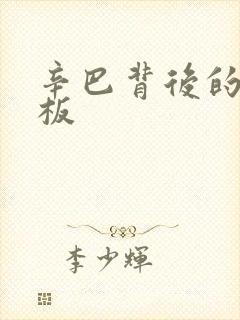 辛巴背后的人老板