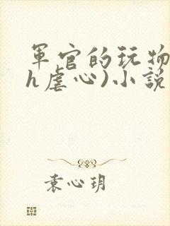 军官的玩物(高h虐心)小说