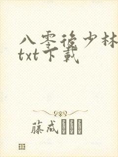 八零后少林方丈txt下载