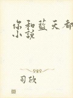 你和蓝天都重要小说