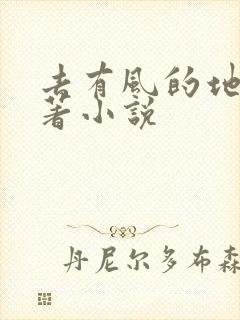 去有风的地方原著小说
