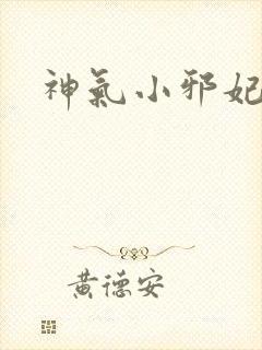 神气小邪妃
