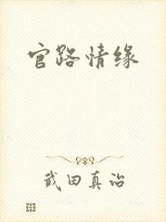 官路情缘