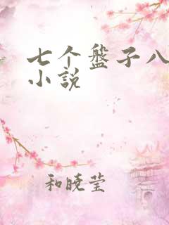 七个盘子八个碗小说