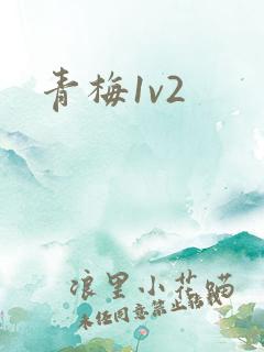 青梅1v2
