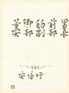 董卿的前男友公安部副部长