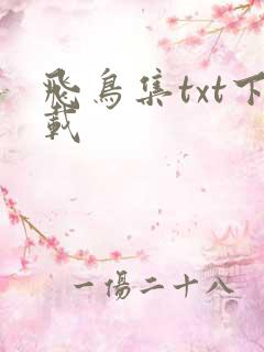 飞鸟集txt下载
