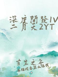 深度开发1V3二月天2YT