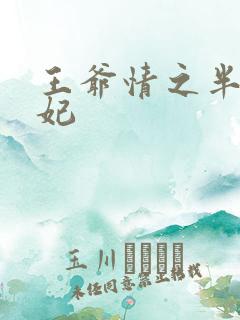 王爷情之半面王妃