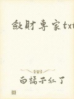 敛财专家txt