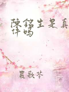 陈铭生是真实事件吗