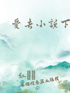 爱去小说下载网