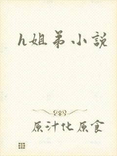 h姐弟小说