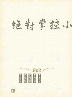 绝对掌控小说