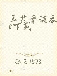 弄花香满衣txt下载