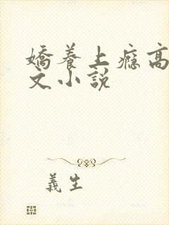 娇养上瘾高H爽文小说