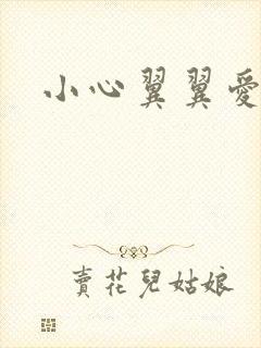 小心翼翼爱上你