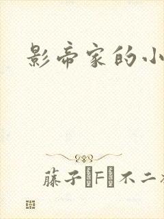 影帝家的小厨娘
