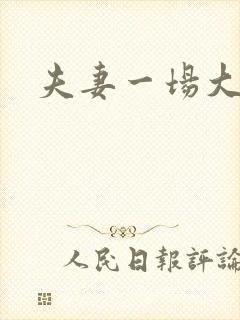 夫妻一场大结局