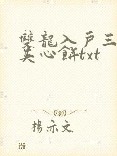 双龙入户三人行夹心饼txt