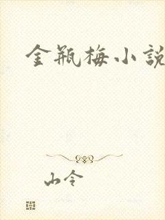 金瓶梅小说