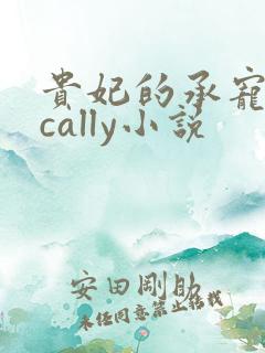贵妃的承宠日常cally小说