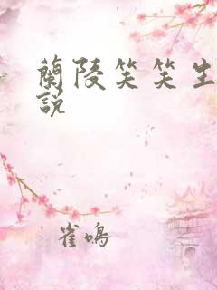 兰陵笑笑生的小说