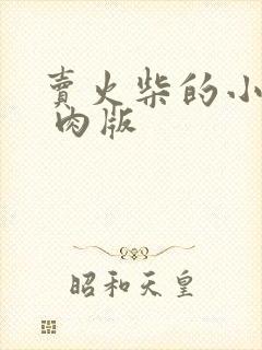 卖火柴的小男孩 肉版