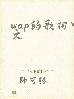 wap的歌词中文