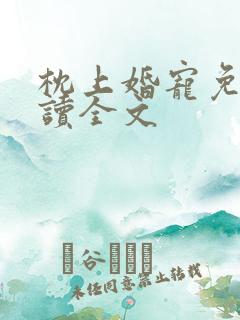 枕上婚宠免费阅读全文