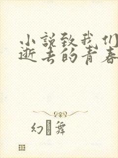 小说致我们终将逝去的青春