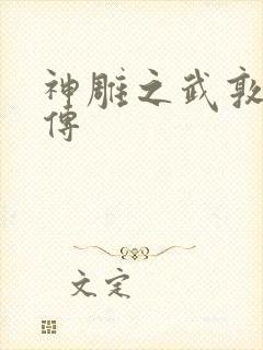 神雕之武敦儒大传