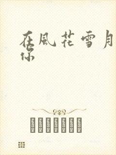 在风花雪月里等你