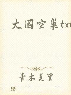 大国空巢txt
