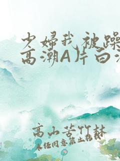 少妇我被躁爽到高潮A片白洁