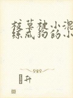 校草被小混混训练成狗的小说