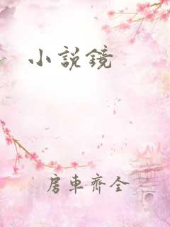 小说镜