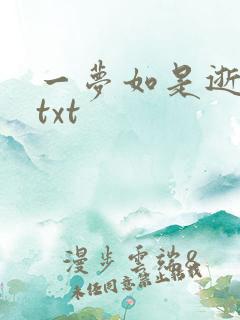 一梦如是逝水长txt