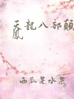 天龙八部颠龙鸾凤