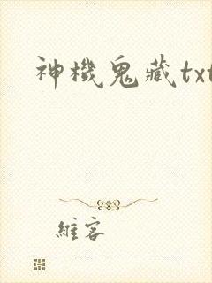 神机鬼藏txt