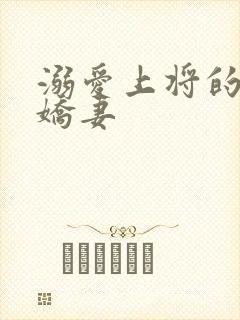 溺爱上将的宝贝娇妻