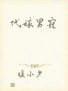 代嫁男宠