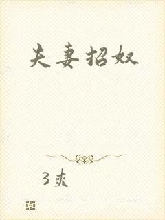 夫妻招奴