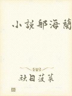 小说那海兰珠