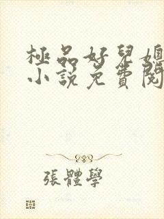 极品好儿媳苏灿小说免费阅读