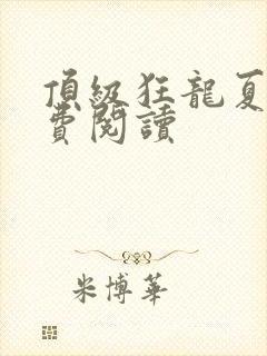 顶级狂龙夏天免费阅读