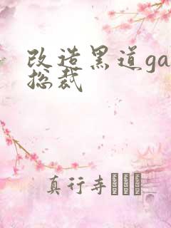 改造黑道gay总裁