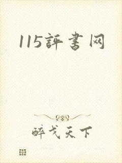 115评书网
