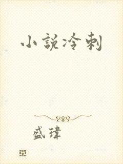 小说冷刺