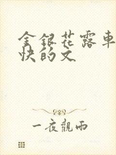 金银花露车速最快的文